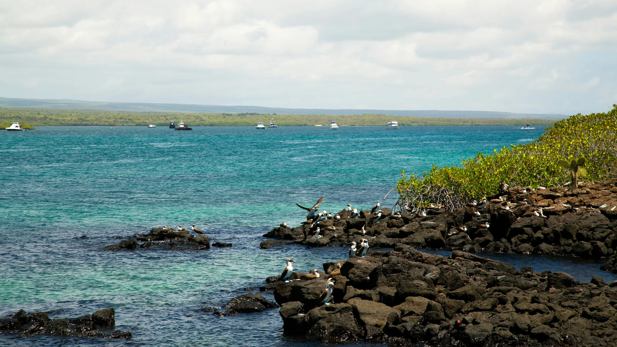 Galápagos Islands — destination-led creator content