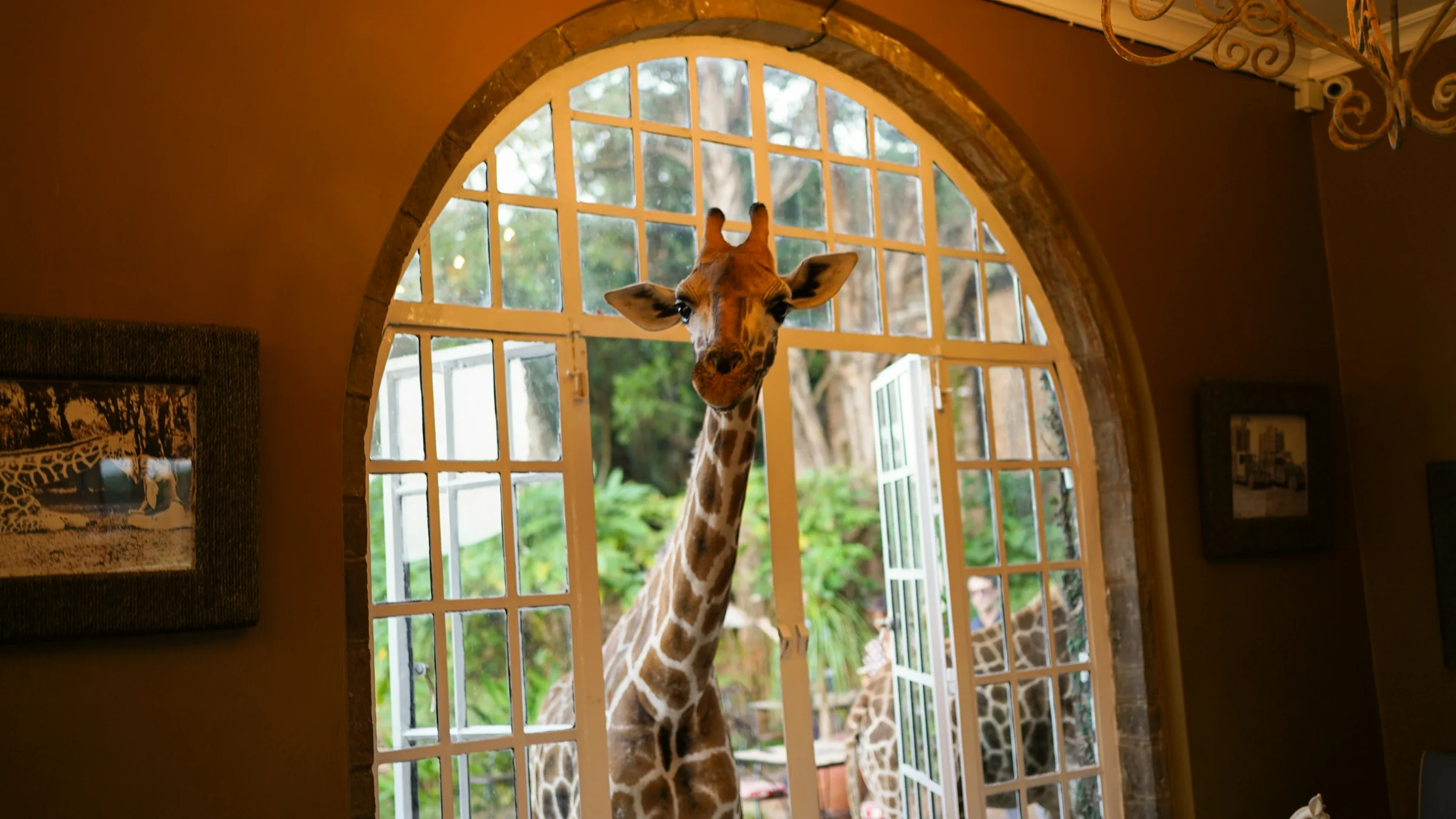 Giraffe Manor Nairobi — the boutique partnership case study